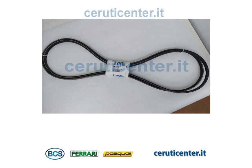 Correa - BCS Original - 58125854