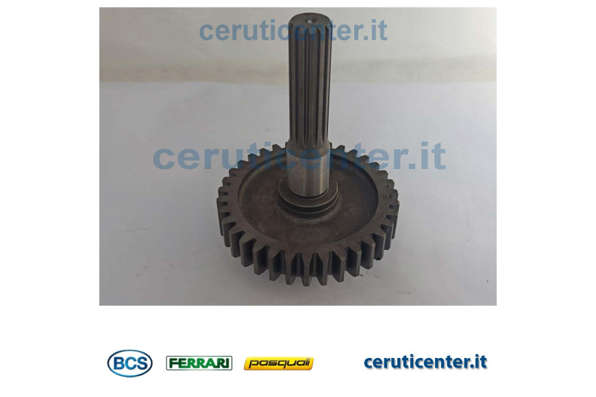 Conducto - BCS Original - 52492838