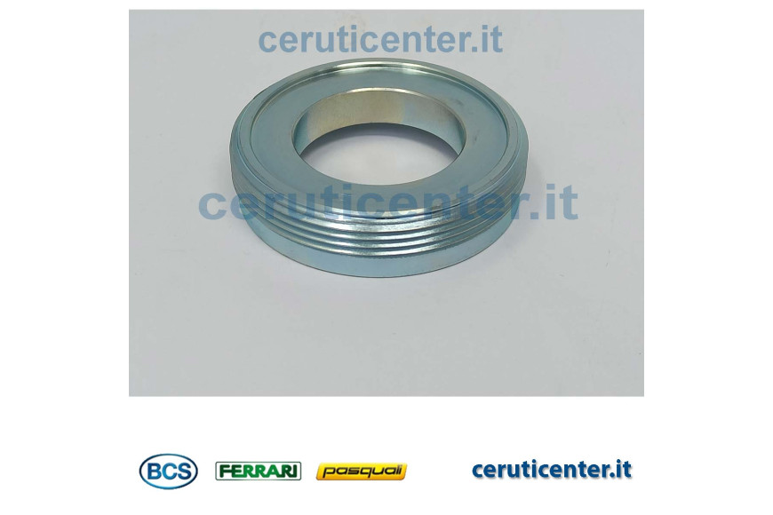 Ring Nut - BCS genuine - 56370808