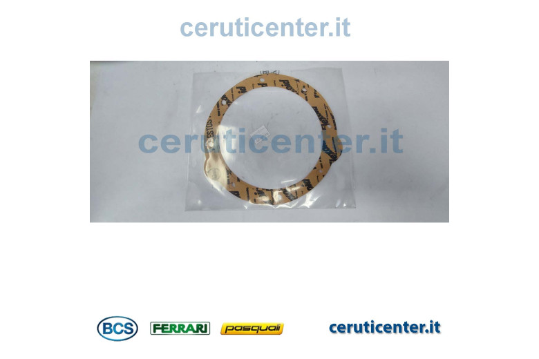 Gasket - BCS genuine -  F0110013900