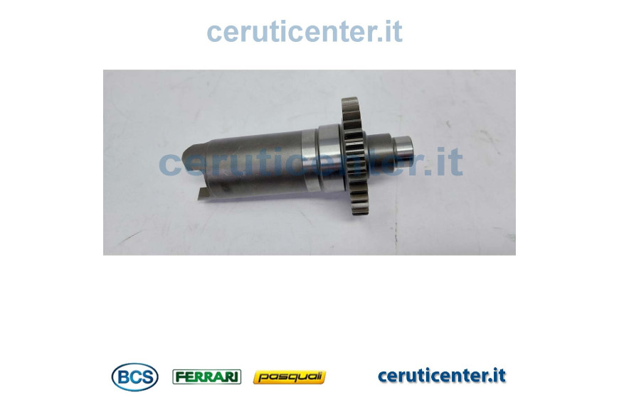 Engranaje Conducto - BCS Original -  524C0813