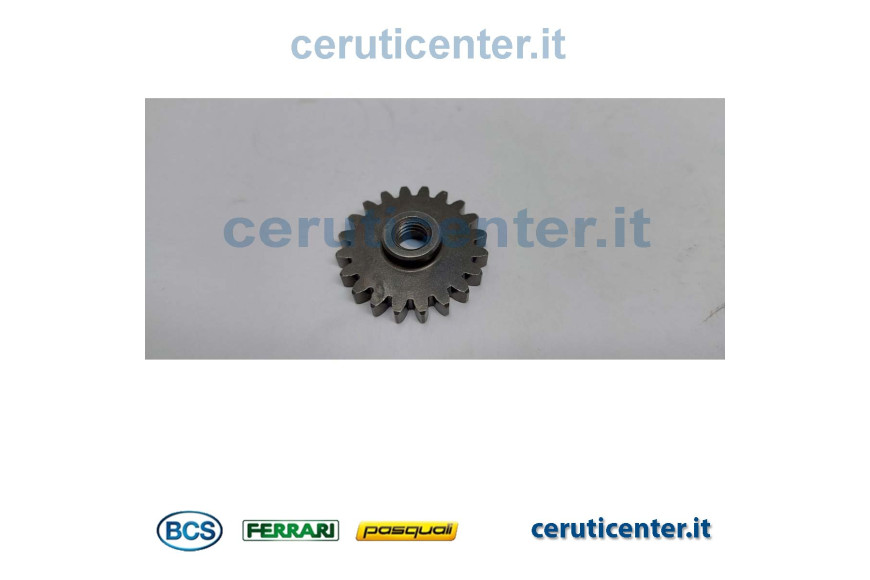 Ingranaggio Pompa - Originale BCS - 52456236