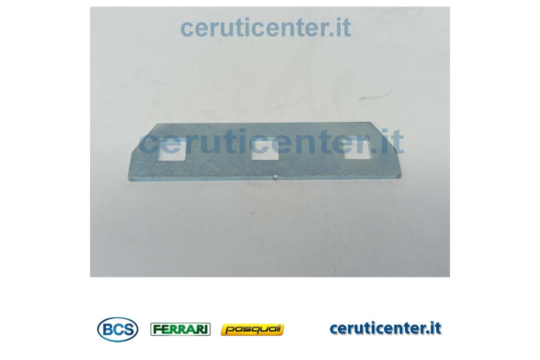 Placa - BCS Original -  56124597Z - reemplaza - 56124597