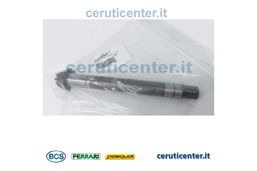 Pignone Conico Z8X200 - Originale BCS - 52448407