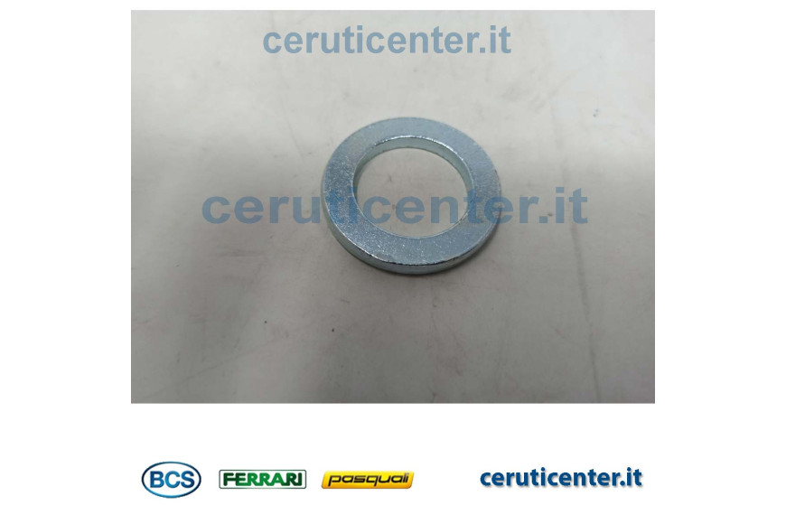 Dichtscheibe 25 - BCS Original - 31415250