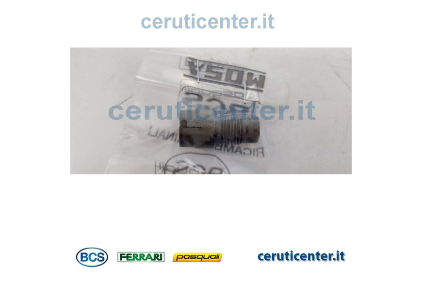 Sede Valvola - Originale BCS - 56156658