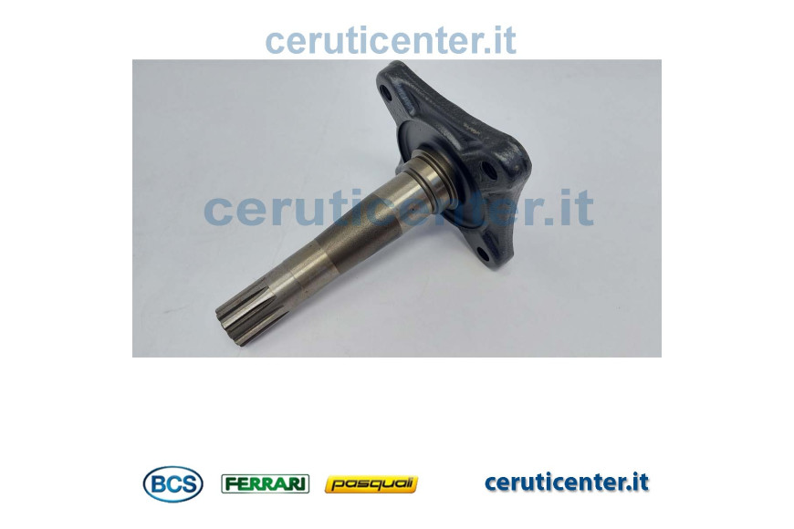 Halbachse - BCS Original -  52443853N - ersetzt - 52443853
