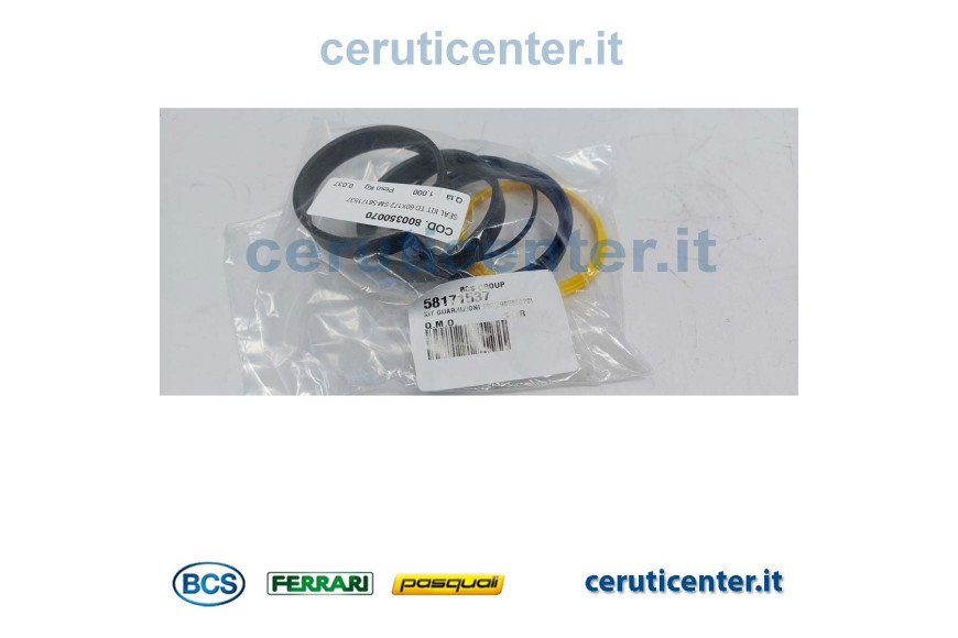 Gasket Set - BCS genuine - 58171537