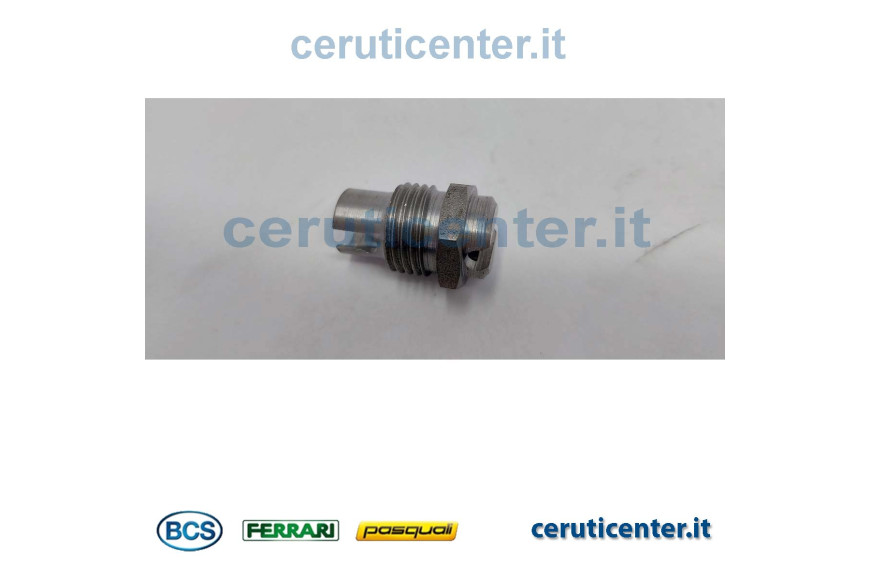 Plug - BCS genuine - 56356242