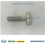 T Screw M14X1,5 - BCS genuine -  F0864293000