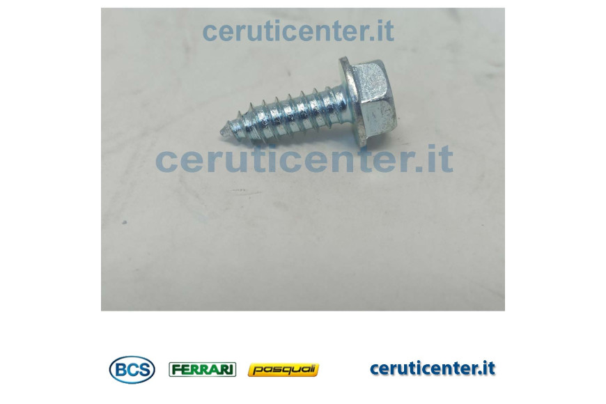 Tornillo Acan. 6,3X19 Uni 6950 - BCS Original - 31510100