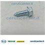 Vis Cannelee 6,3X19 Uni 6950 - BCS Pièce d'origine - 31510100