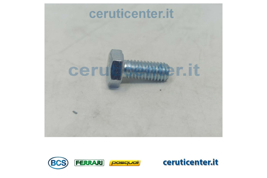 Schraube E M6X14 Uni 5739 8G - BCS Original - 31111091 - ersetzt - F0862047000, F0862059010