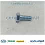Vis E M6X14 Uni 5739 8G - BCS Pièce d'origine - 31111091 - remplace - F0862047000, F0862059010