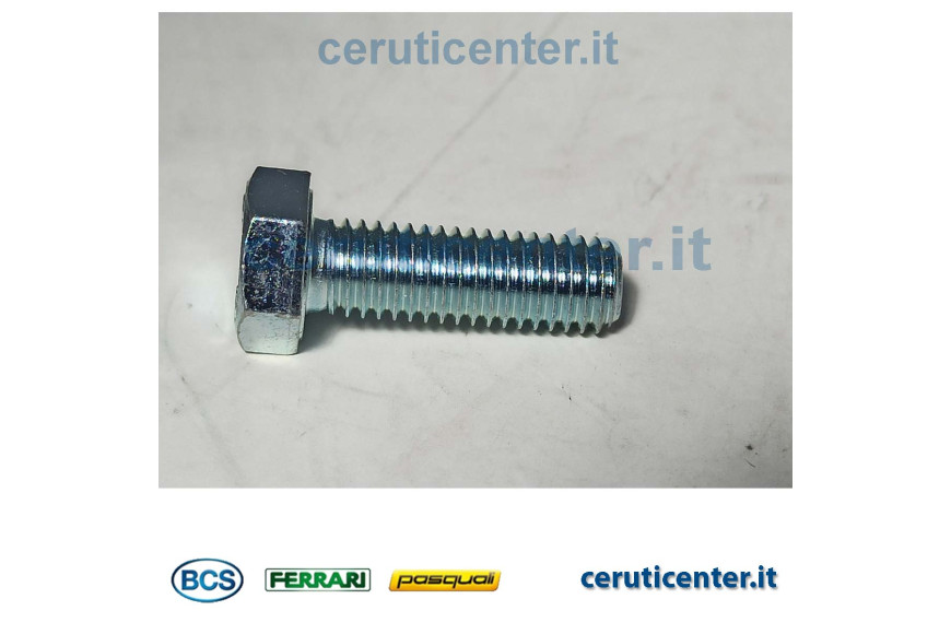 Tornillo Te M8X25 Uni 5739 8G - BCS Original -  31112151 - reemplaza - P000000003109, 31111153
