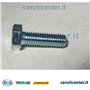 Vis Te M8X25 Uni 5739 8G - BCS Pièce d'origine -  31112151 - remplace - P000000003109, 31111153