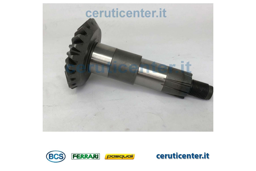 Pignone Conico Z23 - Originale BCS - 52419667