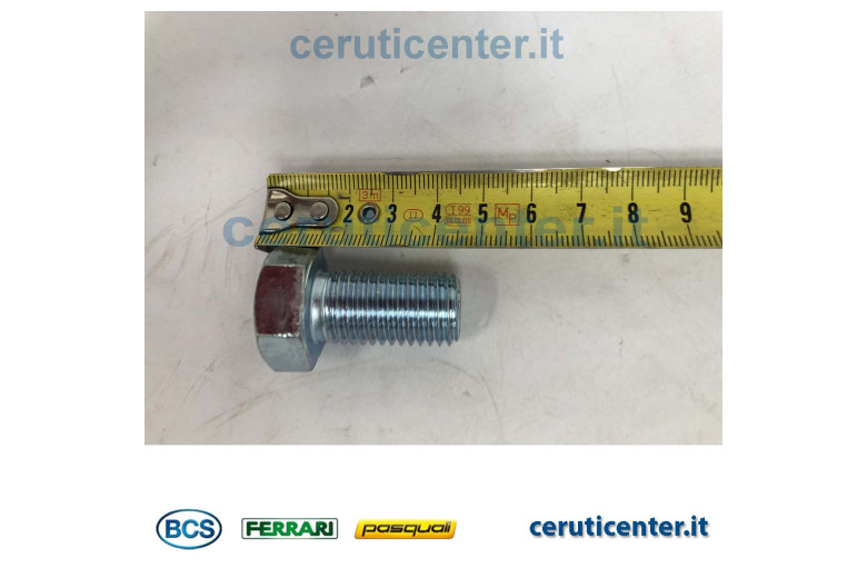 Screw Te M16X30 Uni 5739 8G - BCS genuine - 31111390 - replaces - P000000003155