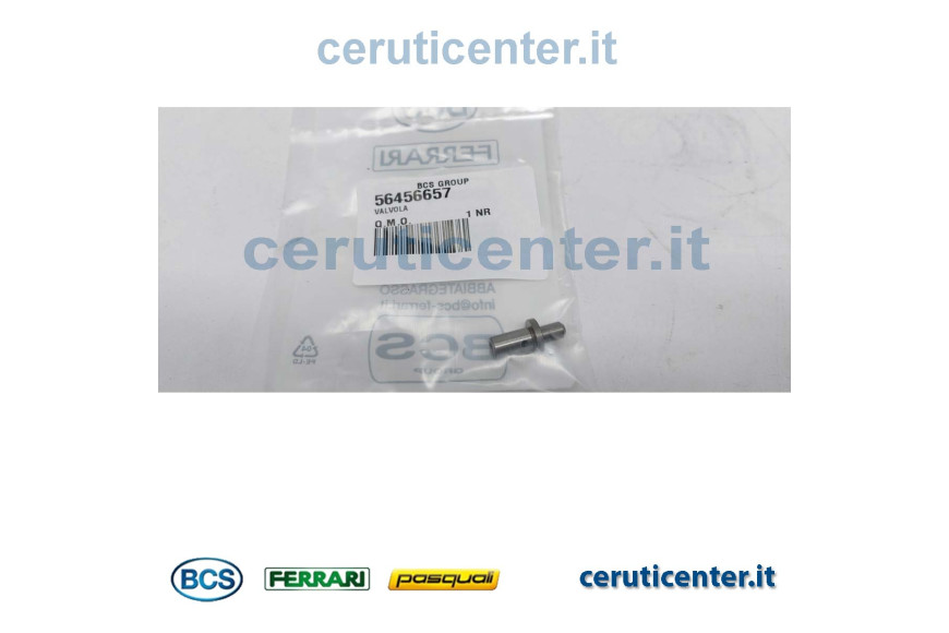 Valvula - BCS Original - 56456657