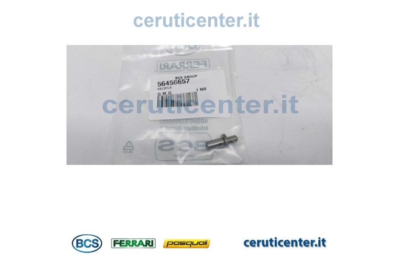 Valvula - BCS Original - 56456657