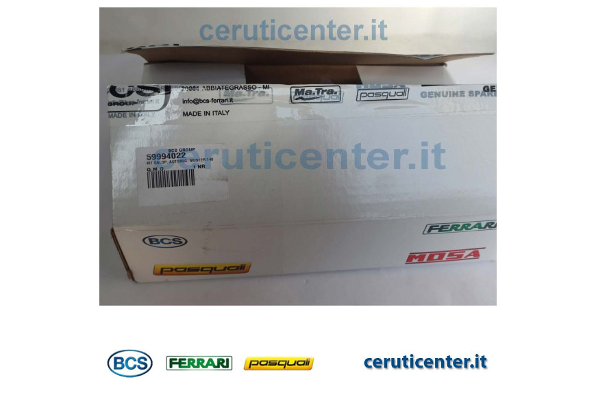 Kit Galop. Autoreg. Muster 140 - Originale BCS - 59994022 - sostituisce - 59294116