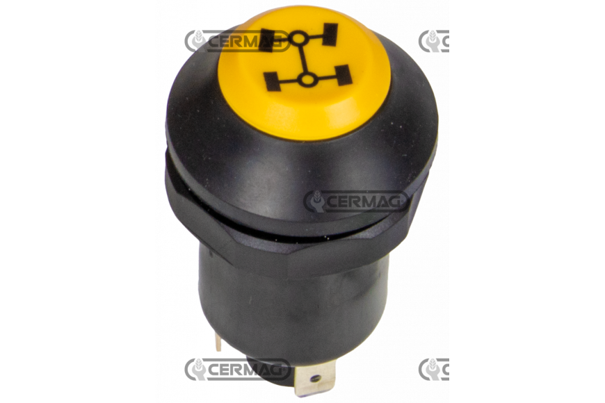 Pulsante con simbolo trazione integrale - Adattabile a OEM 3380339M91 - 89658C91 - 01177152