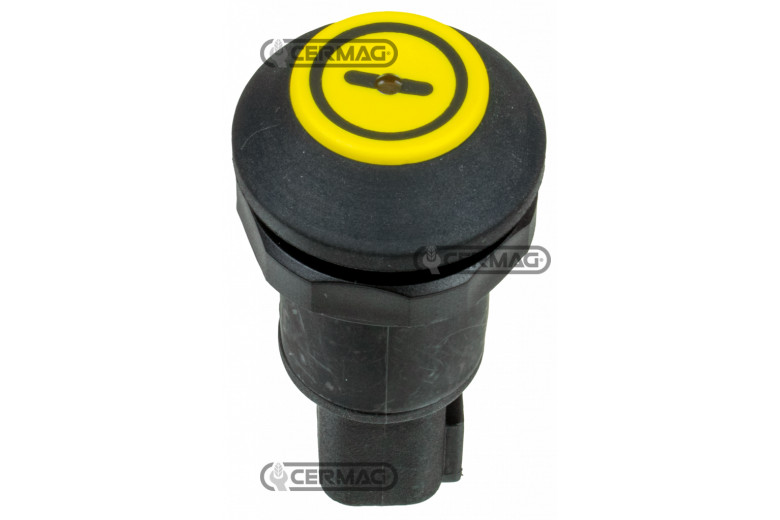 Interruttore pneutron DTW
