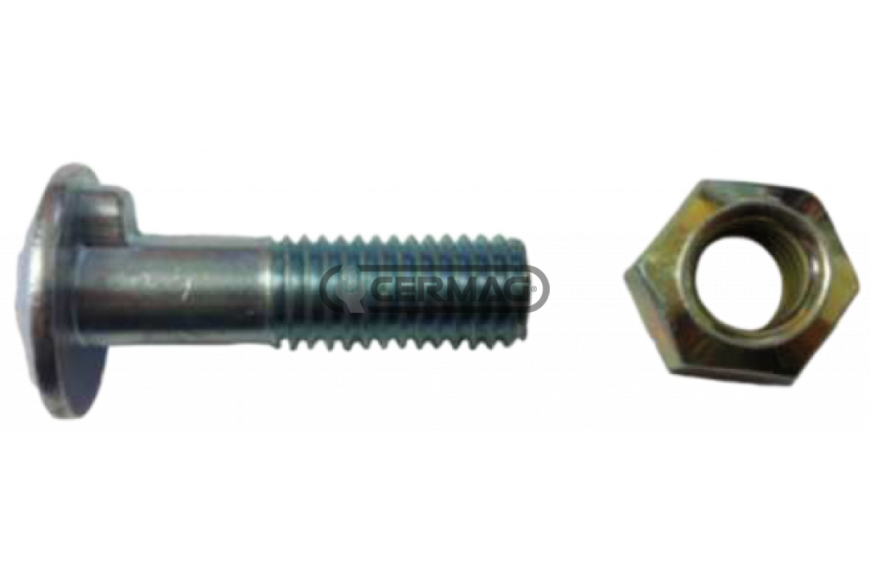 vite con dado M12x40 con nasello