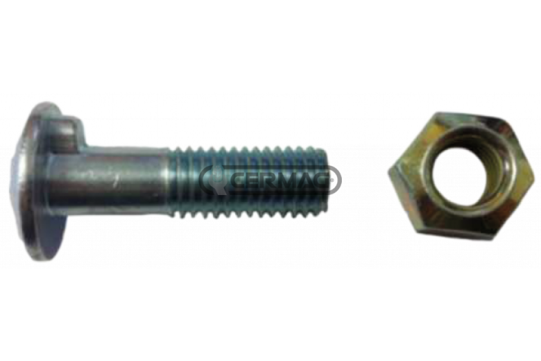 vite con dado M12x40 con nasello