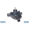 Adaptable pump Water At Massey Ferguson Ref. Orig. 3641250M91