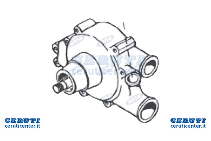 Adaptable pump Water At Massey Ferguson Ref. Orig. 41313048