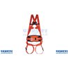 Harness 2 Points + Belt