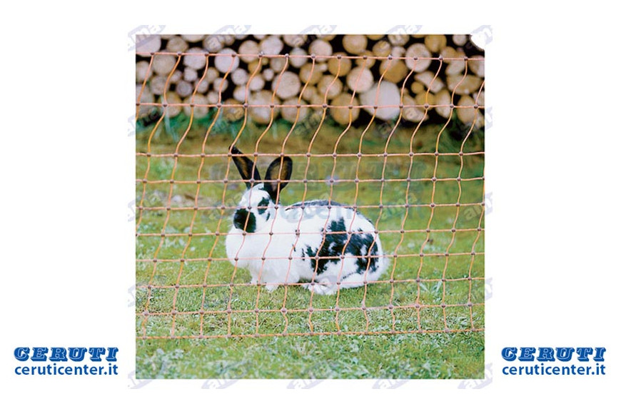 Réseau pour les lapins