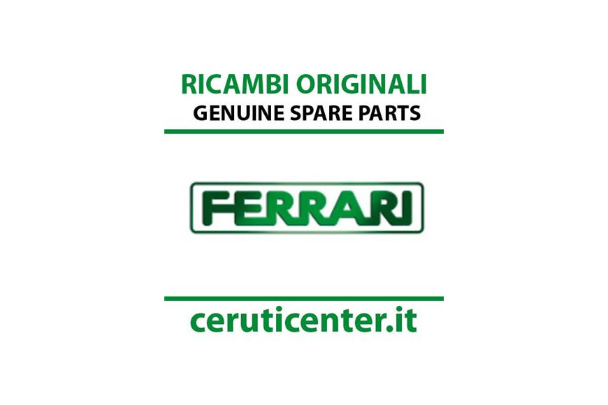 Corona Elicoidale Z44 X Diff - Originale Ferrari - F0190011117 - OBSOLETO