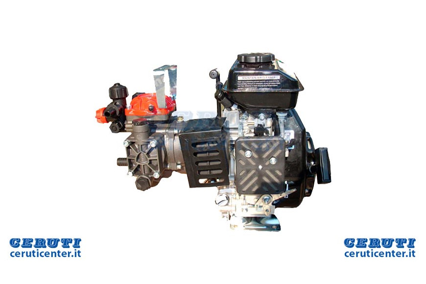 Une membrane de la pompe à moteur 2,5Hp Avec moteur 4 temps