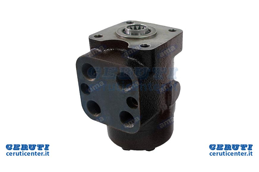 Idroguida 100Cc Load Sensing In Linea