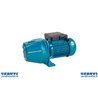 Self-priming electric pump Cast Iron 550W
