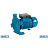 Elettropompa Centrifuga Monogirante 370W