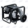 Dispenser unit Portable High Capacity Max200Lt / Min