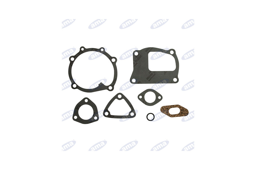 Kits de réparation de pompes à eau ref Adaptable. 99454833