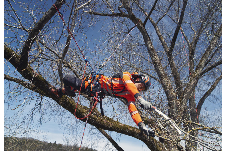 Husqvarna Climbing harness