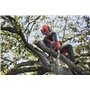 Motosega Husqvarna T535i XP®