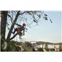 Chainsaw, Battery - 967893912 - Husqvarna Genuine Part