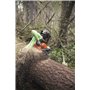 Motosega Husqvarna 562 Xp® - A Scoppio - Originale Husqvarna - 970502018