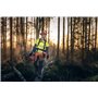 Motosega Husqvarna 560 XP® G