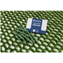 Hybrid Grass