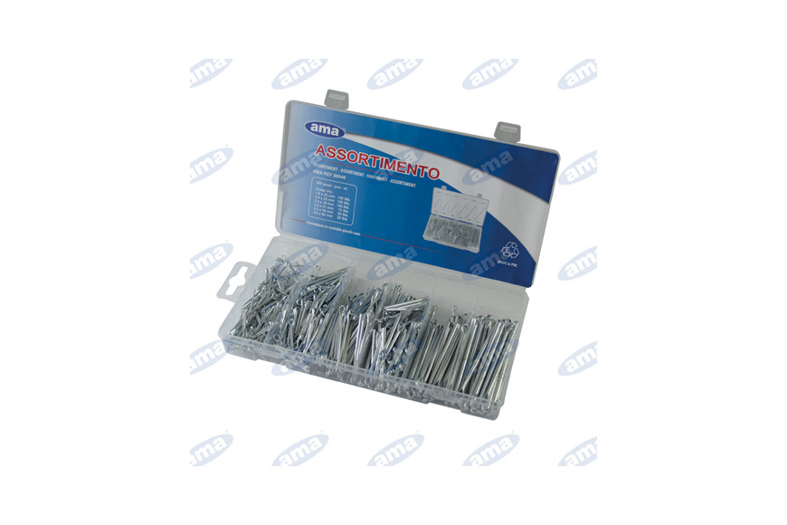 Assortiment 555 Pins