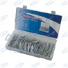 Assortiment 555 Pins