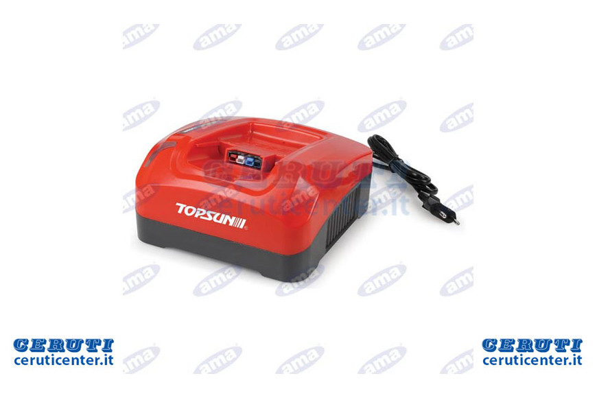 Chargeur de batterie 36V