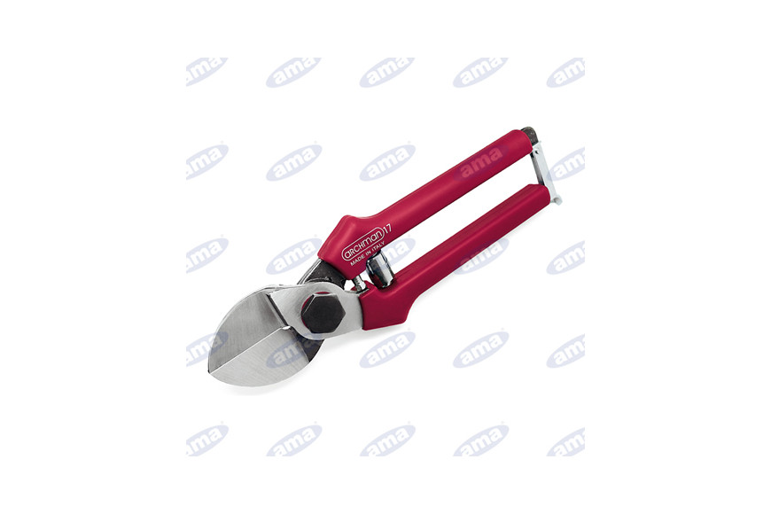Doppelscherenschnitt bis 21 Cm Orchard Pruning